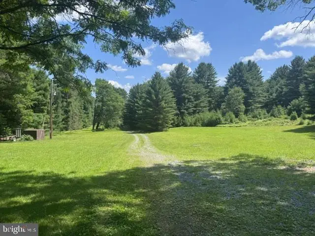 532 Phyllis Paradis Rd, Karthaus, PA 16845 - #3