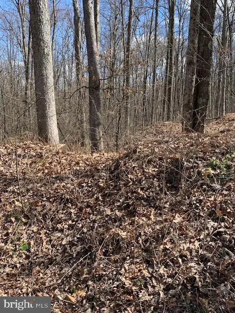 0 Little Wolf Rd, Clarence, PA 16829 - Image #3