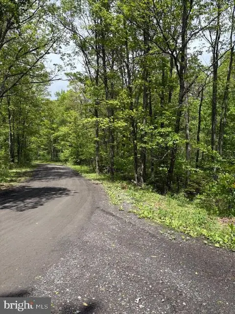 0 Little Wolf Rd, CLARENCE, PA 16829