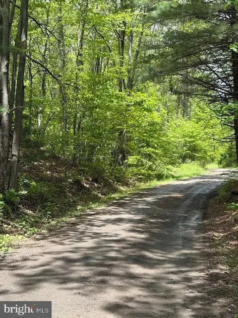 0 Little Wolf Rd, Clarence, PA 16829 - Image #2