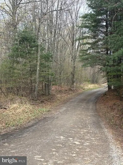 0 Little Wolf Rd, Clarence, PA 16829 - Image #3