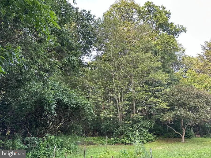 Tadpole Rd., Pennsylvania Furnace, PA 16865 - #2