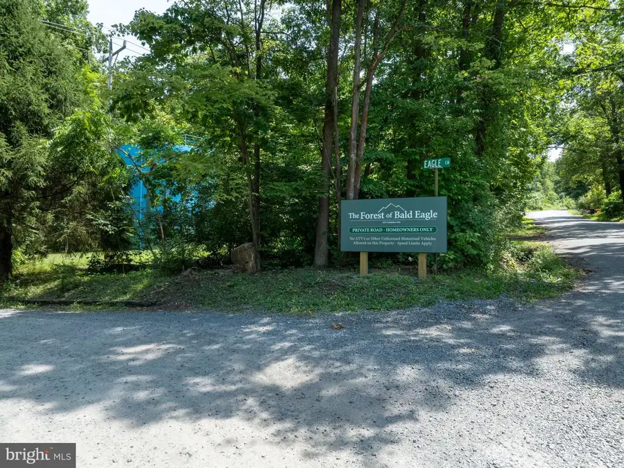 Lot 5 Bald Eagle Forest Rd, Blanchard, PA 16826 - Image #2