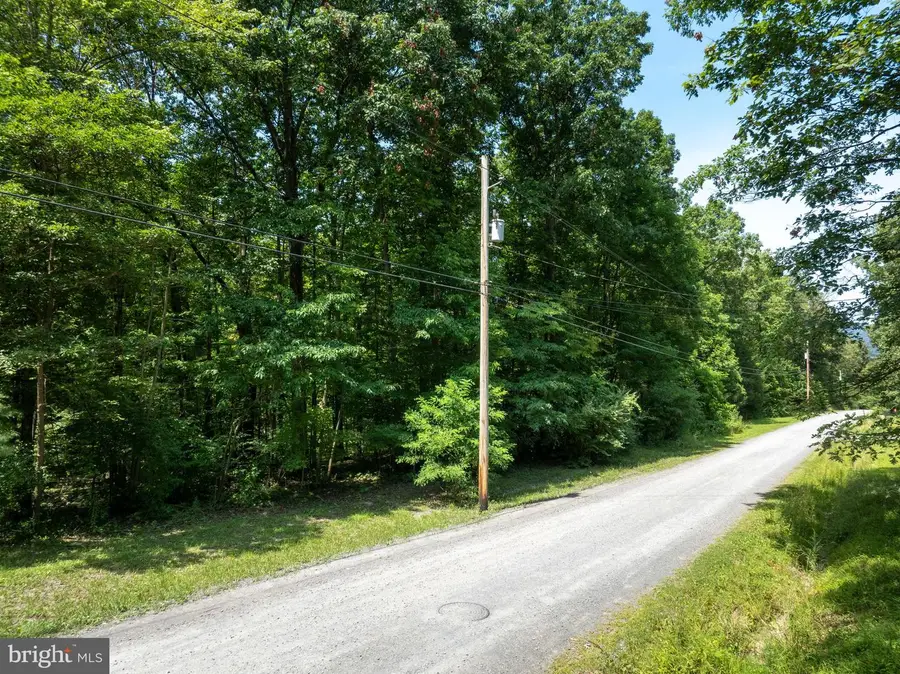 Lot 5 Bald Eagle Forest Rd, Blanchard, PA 16826 - Image #3