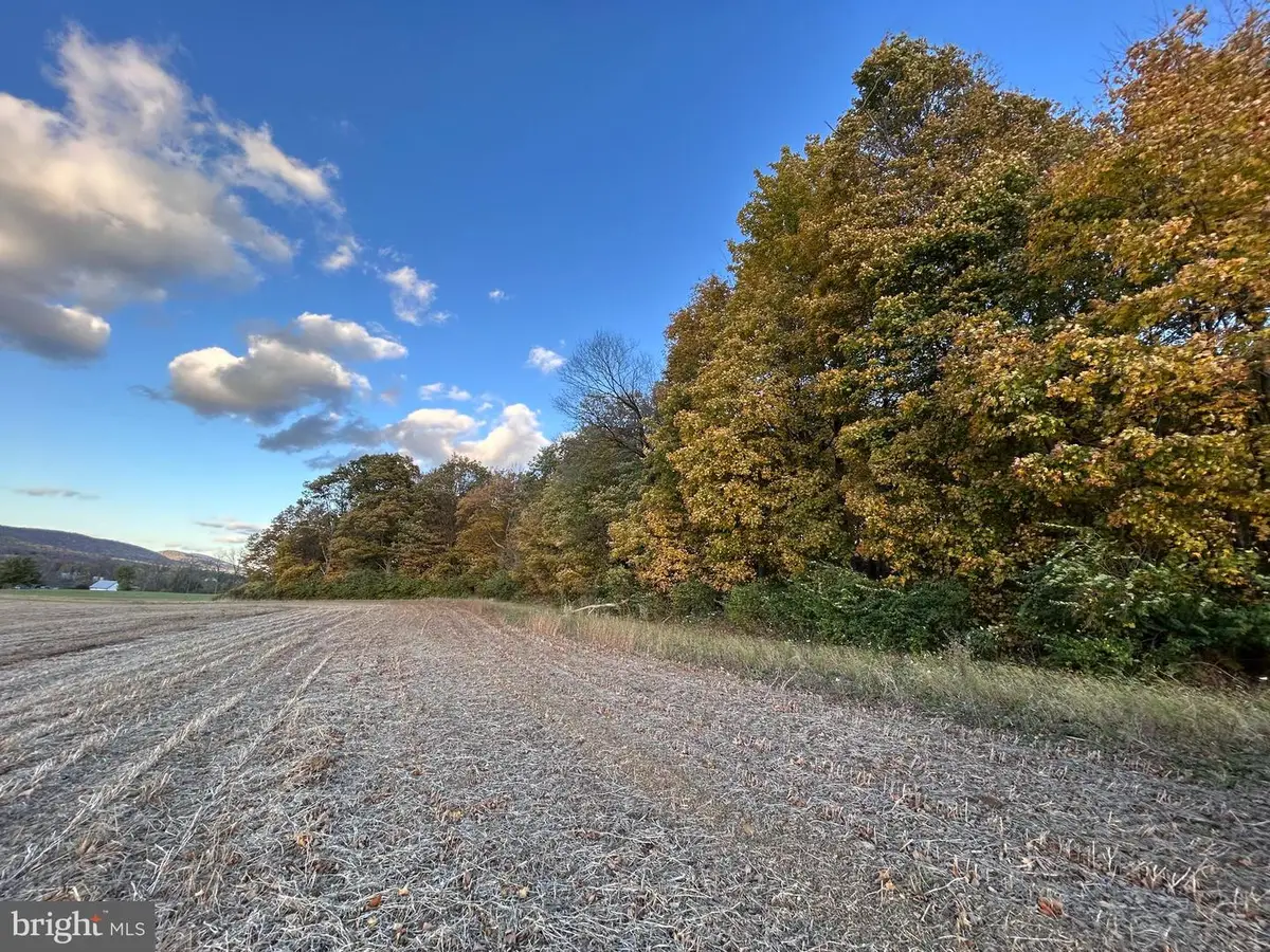 Lot #3 Linden Hall Rd, Boalsburg, PA 16827 - Image #1