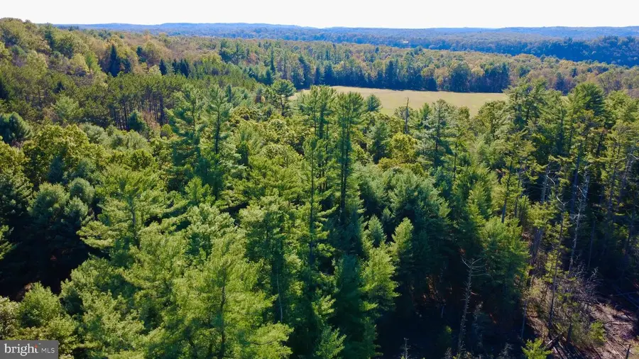 0 Pine Glen Rd, Karthaus, PA 16845 - Image #3