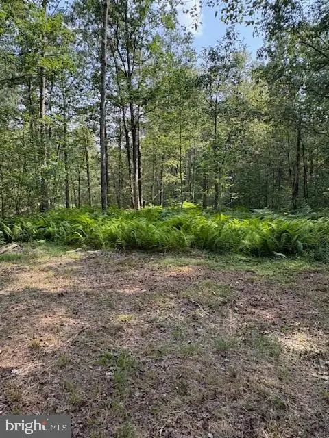 186 Little Wolf Rd, Snow Shoe, PA 16874 - #3