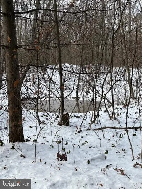 0 Little Wolf Rd, CLARENCE, PA 16829