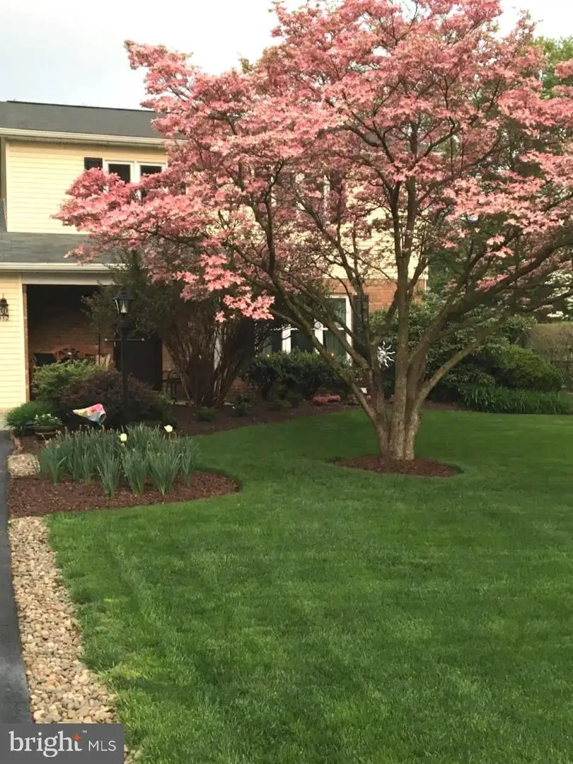 512 Montclair Ln, Boalsburg, PA 16827 - #3