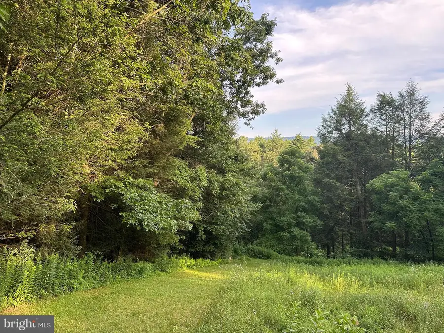 Tadpole Rd., Pennsylvania Furnace, PA 16865 - #3