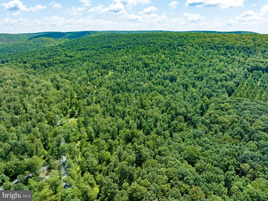 Lot 11 On Decker Valley Rd, Spring Mills, PA 16875 - #2