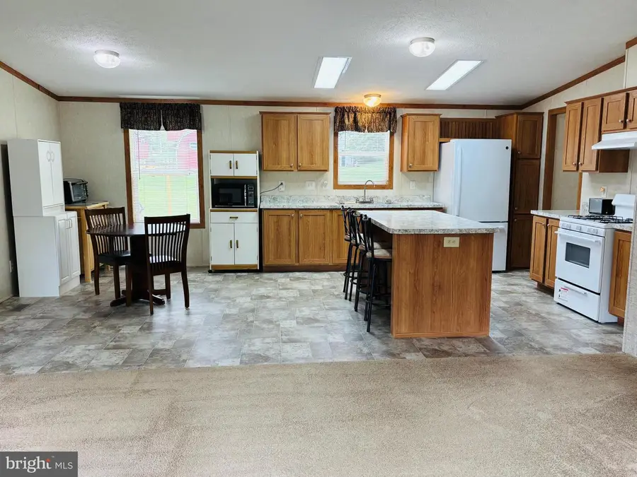 107 E Park Ave, Snow Shoe, PA 16874 - #2