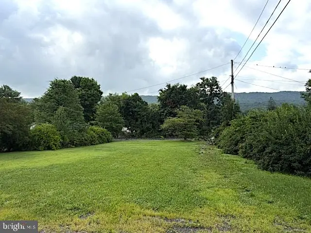Lot On Corner Of Centre St & Plum Alley, Unionville, PA 16835 - #2