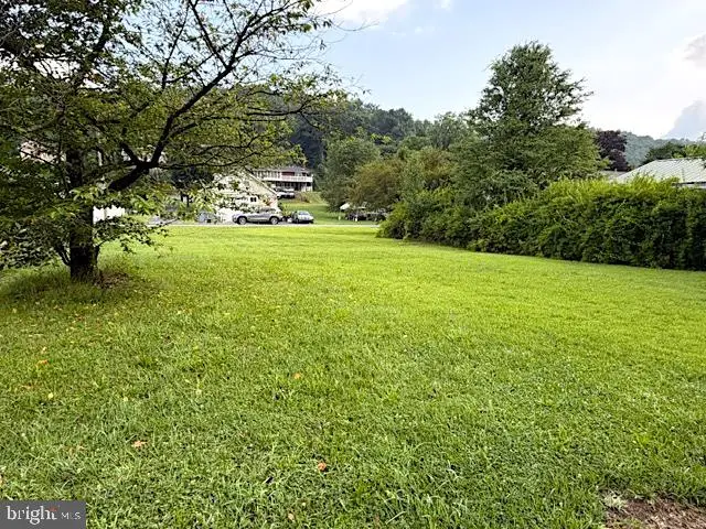 Lot On Corner Of Centre St & Plum Alley, Unionville, PA 16835 - #3