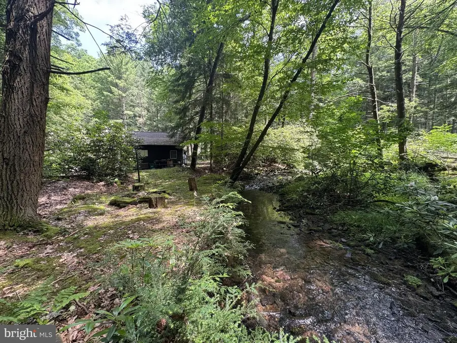 1006 Bear Meadows Rd, Boalsburg, PA 16827 - #3