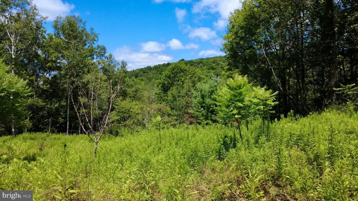 0 Pancake Rd, Clarence, PA 16829 - #1