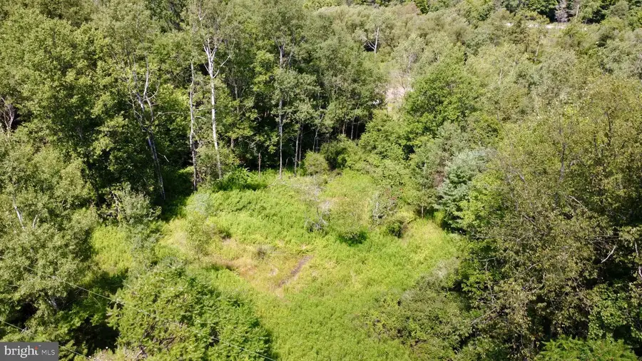 0 Pancake Rd, Clarence, PA 16829 - #3
