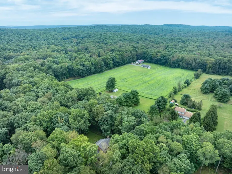 146 Lone Pine Rd, Port Matilda, PA 16870 - #3