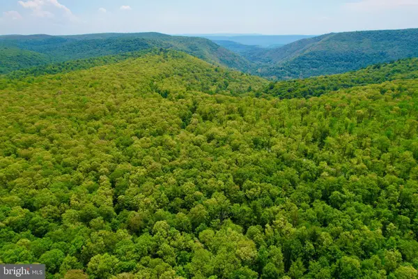 25 Beech Creek Mountain Rd, BEECH CREEK, PA 16822