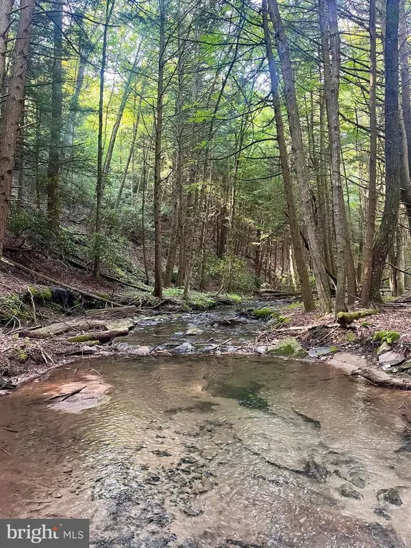 22 Beech Creek Mountain Rd, BEECH CREEK, PA 16822