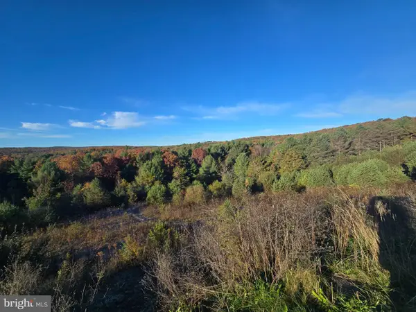 4081 Scootac Rd, BEECH CREEK, PA 16822