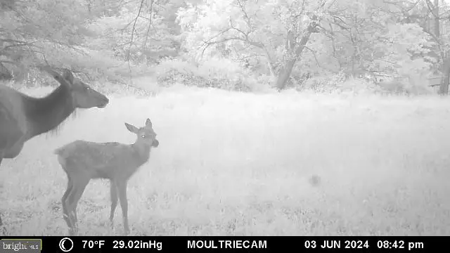 Lot E Flanders Subdivision, Driftwood, PA 15832 - Image #3