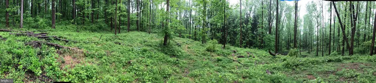 130 Pumpkin Hill Rd, Glenmoore, PA 19343 - Image #1