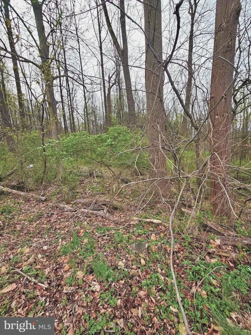 130 Pumpkin Hill Rd, Glenmoore, PA 19343 - Image #2