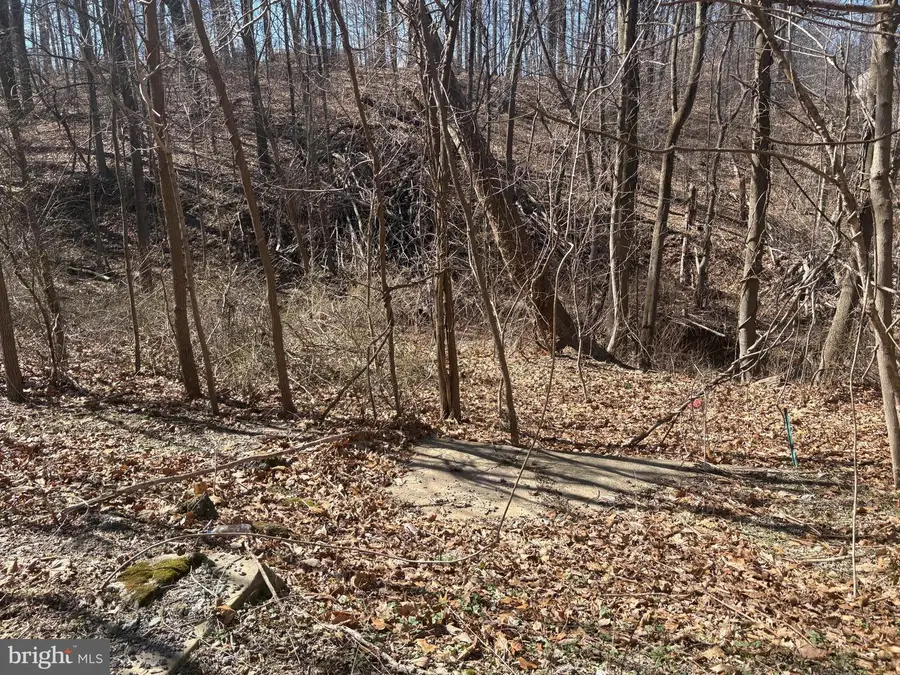 1345 Youngsburg Rd, Coatesville, PA 19320 - Image #3