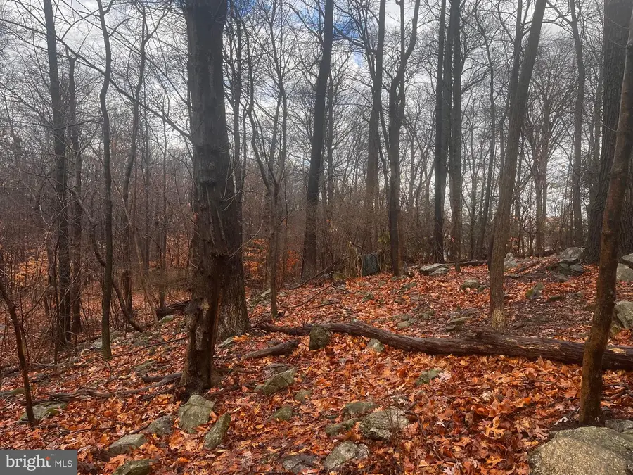 327 Hibernia Rd., Coatesville, PA 19320 - Image #3