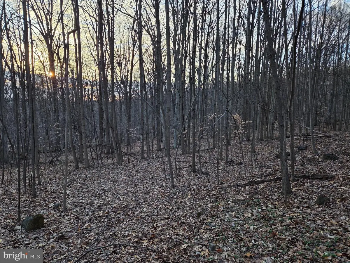 7 Winston Ct, Coatesville, PA 19320 - #1