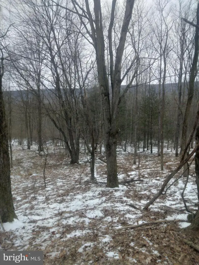 9701 Route 209, Williamstown, PA 17098 - Image #2