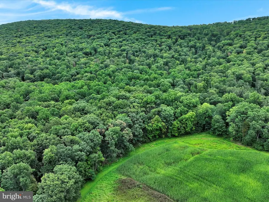 Summit Branch Railroad, Elizabethville, PA 17023 - Image #3
