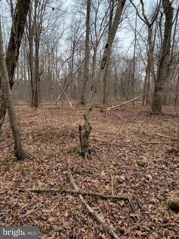 Lot 11 Tannin Way, DAUPHIN, PA 17018