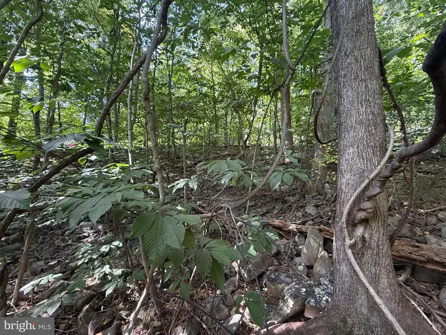 Lot 60 Dogwood Rd, Harrisburg, PA 17110 - #3