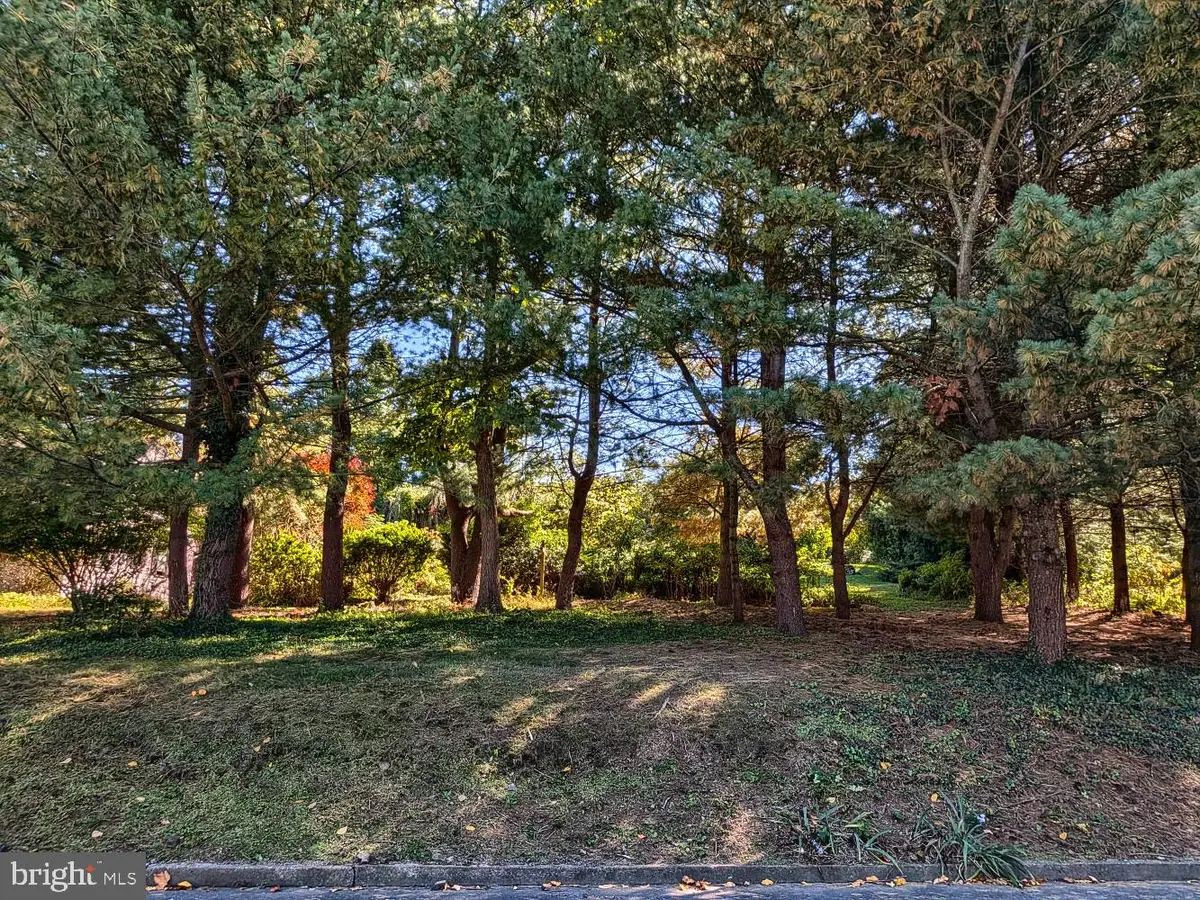 1115 Whitehall Dr, Harrisburg, PA 17110 - #1