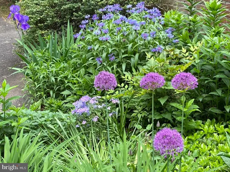 2 Locust Ln, Rose Valley, PA 19086 - Image #3