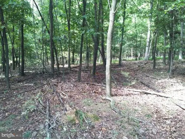 Stumpy Ln, FORT LOUDON, PA 17224