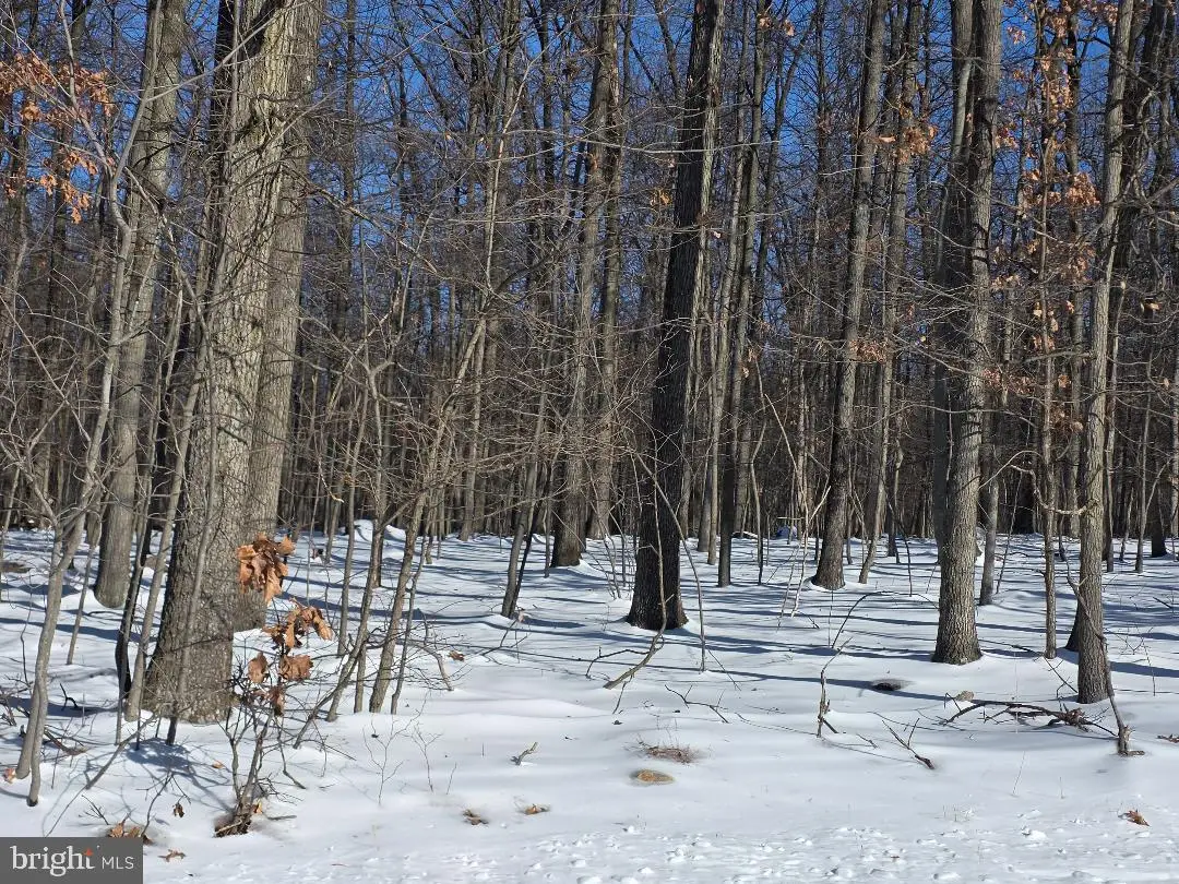 Morman Church Road, Waynesboro, PA 17268 - Image #1