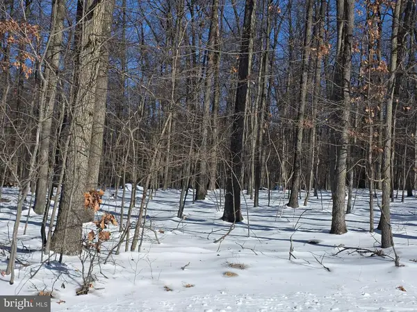 Morman Church Road, WAYNESBORO, PA 17268