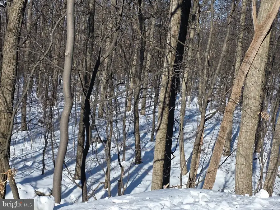 Morman Church Road, Waynesboro, PA 17268 - Image #3