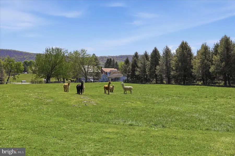 18885 Main Street Dry Run, Dry Run, PA 17220 - #2