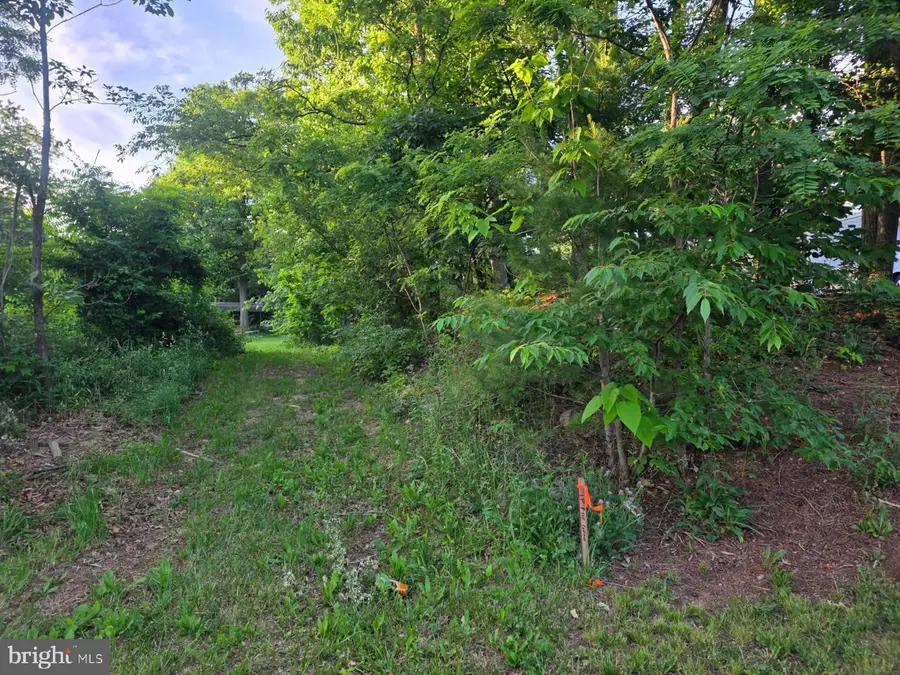 0 Mentzer Gap Rd, Waynesboro, PA 17268 - #2