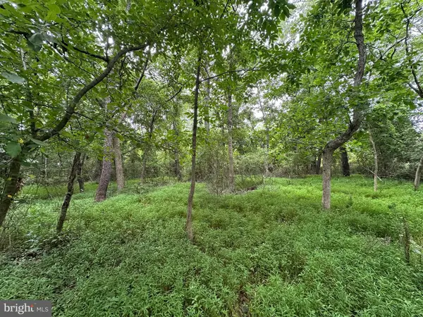 9+/- Acres Polidor Road, WAYNESBORO, PA 17268