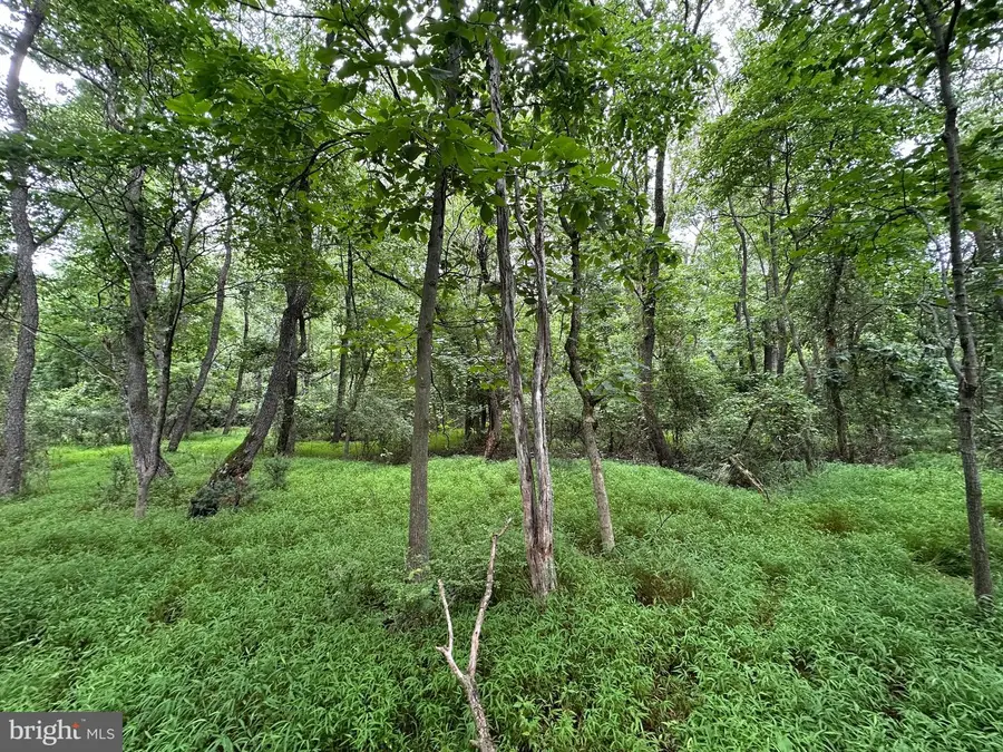 9+/- Acres Polidor Road, Waynesboro, PA 17268 - #2