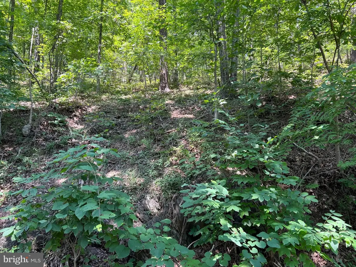 Hill Rd, Warfordsburg, PA 17267 - Image #1