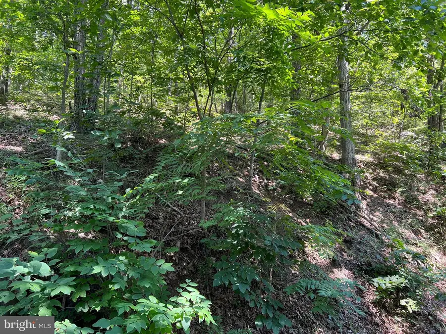 Hill Rd, Warfordsburg, PA 17267 - Image #2