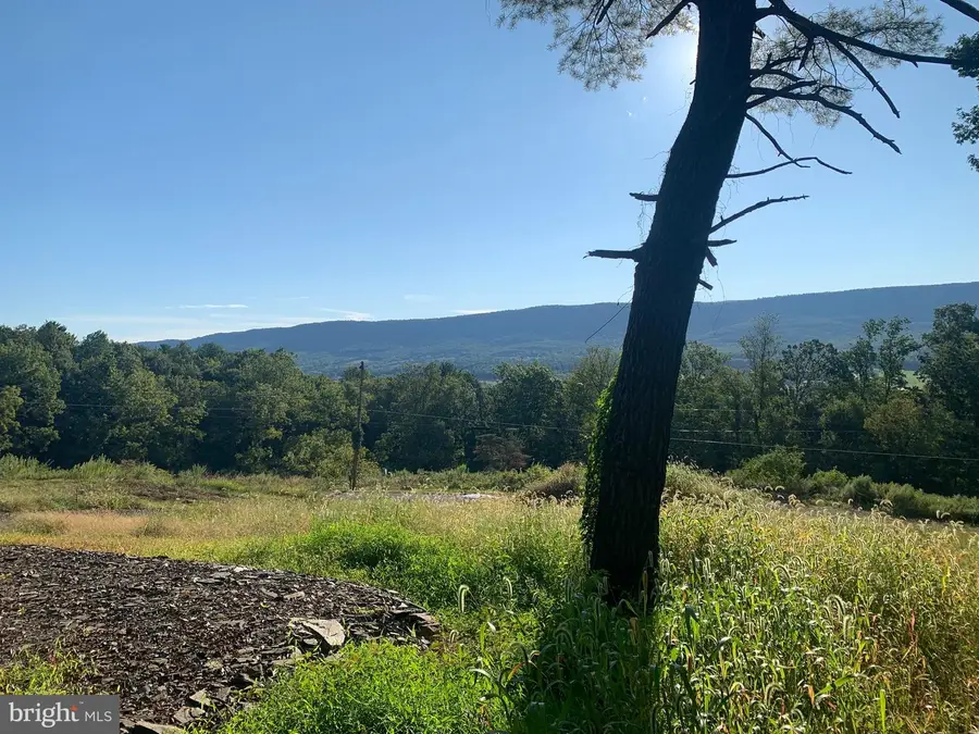 Peach Orchard Rd, Todd, PA 17233 - Image #3