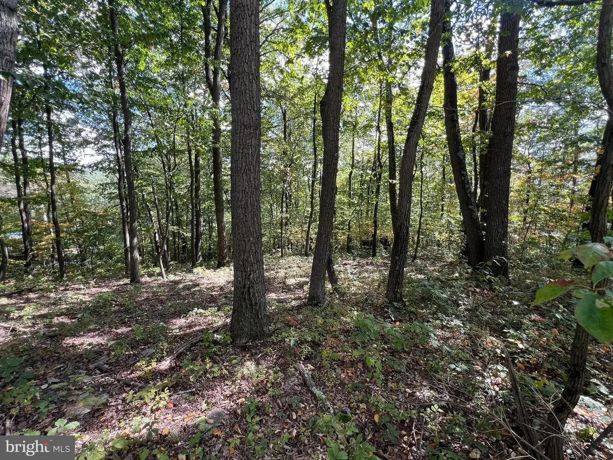 Lot 31 Woodlawn Drive, Crystal Spring, PA 15536 - Image #1