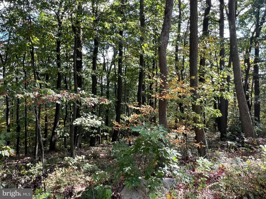 Lot 31 Woodlawn Drive, Crystal Spring, PA 15536 - Image #3